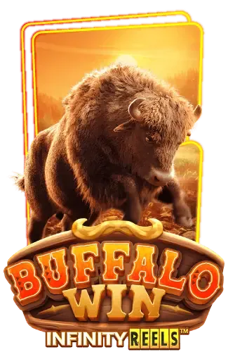 buffalo-win -bj baji app